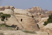 夢(mèng)中的沼澤，探索未知的心靈之旅，夢(mèng)中的沼澤，心靈之旅的未知探索