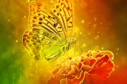 體驗(yàn)無限可能的戶外游戲，免費(fèi)游戲的無限可能，挑戰(zhàn)極限，自由游戲——您的戶外冒險(xiǎn)樂趣新起點(diǎn)