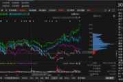 路通視信資金占用形成的關(guān)聯(lián)交易，投資者可索賠！