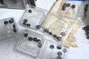 315在行動|賽博鬼秤？直播間買8盒藍(lán)莓每盒才5顆 別讓網(wǎng)購“攔”住份量“沒”了良心