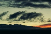 蓮花之夢(mèng)，一場(chǎng)深邃的夢(mèng)境之旅