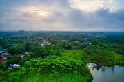 夢(mèng)中雞鳴，一場(chǎng)奇妙的夢(mèng)境之旅，夢(mèng)中雞鳴，奇妙的夢(mèng)境之旅