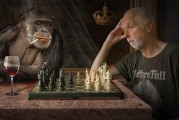 單機(jī)免費(fèi)象棋游戲，享受純粹的棋藝對(duì)決，享受純粹棋藝對(duì)決，單機(jī)免費(fèi)象棋游戲推薦