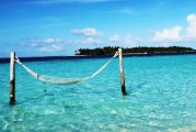 夢中的大魚之旅，夢中的大魚之旅