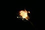 夢(mèng)魘之影，被黑狗咬手的夢(mèng)境解析