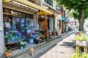 夢中的樓房，一場心靈的探索之旅，夢中的樓房，心靈探索之旅的啟程