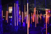 夢中喜宴，一場難忘的盛宴，夢中喜宴，難忘的盛宴之旅