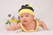 秋田滿(mǎn)滿(mǎn)：精心打造輔食，陪伴寶貝每一個(gè)成長(zhǎng)瞬間