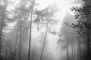 煙囪之夢，探索夢境中的神秘符號，煙囪之夢，探索神秘符號的夢境之旅
