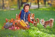 如何在安吉拉游戲中免費游玩？，免費游玩安吉拉游戲的方法