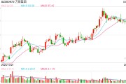 董事長(zhǎng)被留置并立案調(diào)查 股價(jià)盤中一度跌超10% 萬(wàn)辰集團(tuán)如何化解危機(jī)？