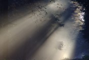 夢(mèng)中情愫，解析夢(mèng)中有人喜歡自己的心理奧秘，解析夢(mèng)中有人喜歡自己的心理奧秘，夢(mèng)中情愫的探索