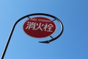 無(wú)廣告、無(wú)內(nèi)購(gòu)、無(wú)充值的跑酷游戲大放送！為愛(ài)發(fā)電