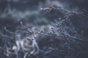 體驗自由無拘無束的游戲世界——免費主機游戲的魅力解析，如何領略自由無拘無束的游戲世界，從免費主機游戲的特性解析