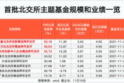 北交所主題基金 最高大賺50%！