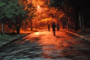 夢(mèng)中奔跑的啟示，夢(mèng)中奔跑的啟示
