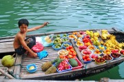 夢中的捉魚之旅，未果的期待，夢中的捉魚之旅，未果的期待之旅