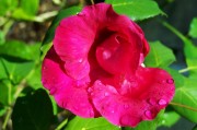 為了對(duì)付特朗普，歐洲花了整整一年準(zhǔn)備，如今要用了