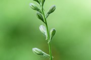 搭建菠菜網(wǎng)站的重要性與步驟，重要性，為何搭建菠菜網(wǎng)站？步驟指南