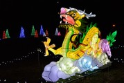保衛(wèi)蘿卜游戲中，免費并不是一種誘惑，保衛(wèi)蘿卜，游戲中的付費意識與策略分析