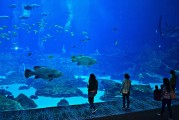 日照市是中國(guó)山東省的一個(gè)海濱城市，擁有豐富的旅游資源和文化底蘊(yùn)。隨著互聯(lián)網(wǎng)技術(shù)的發(fā)展，日照的旅游業(yè)也在不斷壯大。日照網(wǎng)站優(yōu)化的重要性不言而喻。，日照，中國(guó)山東省海濱城市的旅游資源與文化魅力