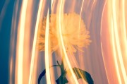 CCG（Collective Content Game），一個讓玩家盡情探索的免費游戲世界，自由探索，無拘無束！體驗CCG的魅力，免費游戲世界之旅