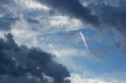 夢(mèng)到狼的寓意與解析，夢(mèng)到狼的寓意與解析