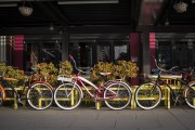 "車庫禁停新能源車"？廣東省博物館回應(yīng)