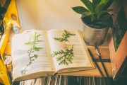 游戲荒，推薦一些免費(fèi)的游戲來填補(bǔ)你的空閑時(shí)間，免費(fèi)游戲推薦，讓生活更加豐富多彩