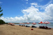 夢(mèng)中的游泳之旅，夢(mèng)中的游泳之旅之旅的奇幻之旅