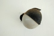 夢境中的蛆——探索內(nèi)心深處的象征意義，夢境中的蛆，探索內(nèi)心深處的象征意義