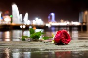 夢(mèng)中的情感紐帶——與男朋友的朋友的奇妙邂逅，夢(mèng)中的情感紐帶，與男朋友的朋友的奇妙邂逅的回憶與體驗(yàn)