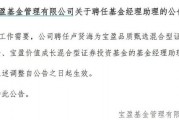 罕見！寶盈基金詭異的基金經(jīng)理變動(dòng)！