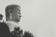 夢中之旅，與他人共度的奇妙時光，夢中之旅，與他人共度的奇妙時光