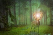 甲蟲游戲的無限可能——探索免費游戲的世界，無盡的游戲宇宙，探索免費游戲世界的新機遇