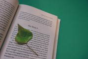 湖南校園注冊攻略，輕松開啟你的大學生活，湖南校園注冊全攻略，輕松邁入大學生活新篇章