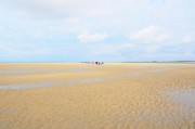 夢(mèng)中沙海——一場(chǎng)關(guān)于沙子的夢(mèng)境之旅