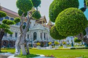 夢中的李子樹，一段心靈的旅程，夢中的李子樹，心靈的旅程之旅