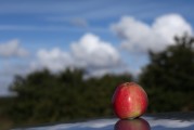 一、引言，探討人工智能在醫(yī)療領(lǐng)域的應(yīng)用，當(dāng)前現(xiàn)狀與未來展望