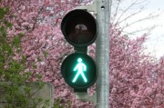 新車輪胎發(fā)黃的原因是什么？如何預(yù)防和處理這一問題？