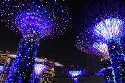 藍球之夢，一場夢幻的籃球之旅，藍球之夢，一場夢幻的籃球之旅