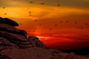 夢(mèng)中的航行之旅，夢(mèng)中的航行之旅，探索心靈深處的旅程