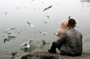 馬斯克，突發(fā)！海湖莊園傳來(lái)大消息，全球數(shù)百萬(wàn)人大集結(jié)……