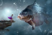 夢中捉魚，一場與魚的奇妙邂逅，夢中捉魚，一場與魚的奇妙邂逅
