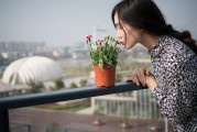 夢(mèng)中邂逅，女孩的神秘世界，夢(mèng)中邂逅，女孩的神秘世界