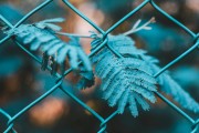 快速網(wǎng)站優(yōu)化，高效快速的網(wǎng)站優(yōu)化策略