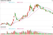 電解液“一哥”天賜材料業(yè)績再腰斬，比兩年前少賺50億元
