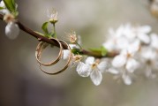 夢中之筆，一篇關(guān)于夢到文章的探索