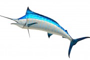 無(wú)限制的海洋冒險(xiǎn)，游戲釣魚(yú)免費(fèi)下載體驗(yàn)，無(wú)盡海洋，魚(yú)類(lèi)垂釣樂(lè)趣無(wú)窮！輕松下載并享受游戲捕魚(yú)的樂(lè)趣