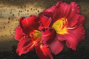 妃容天下游戲全線上免費(fèi)！你還在等什么？這款以歷史背景和精美畫面為題材的手機(jī)游戲，即將在全線上全面開(kāi)啟。，妃容天下手游預(yù)約開(kāi)啟